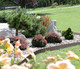 Миниатюра изображения товара Бордюр садовый Prosperplast Garden Border IBRA-R624 (терракот)