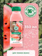 Миниатюра изображения товара Шампунь для волос Garnier Fructis Superfood Арбуз (350мл)