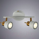Миниатюра изображения товара Потолочный светильник Arte Lamp Almach A1906PL-2WH