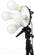 Миниатюра изображения товара Комплект оборудования для фотостудии Falcon Eyes KeyLight 425 LED SB6080 Kit / 28058