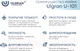 Миниатюра изображения товара Мойка кухонная Ulgran U-101 (331 белый)