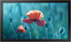 Миниатюра изображения товара Информационная панель Samsung QB13R / LH13QBREBGCXCI