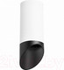 Миниатюра изображения товара Спот Lightstar Rullo R648687