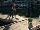 Миниатюра изображения товара Мойка высокого давления Greenworks GDC40 (5104507)