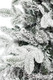 Миниатюра изображения товара Ель искусственная Winter Time Заснеженная 180 / XTT06-1249TS