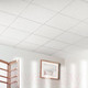 Миниатюра изображения товара Потолок подвесной Armstrong Bajkal Board 90RH 600x600x12мм