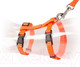 Миниатюра изображения товара Шлея с поводком Duvo Plus 11205 (Orange)