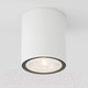 Миниатюра изображения товара Светильник уличный Elektrostandard Light 2103 35131/H (белый)