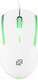 Миниатюра изображения товара Мышь Оклик 245M (белый)