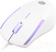 Миниатюра изображения товара Мышь Оклик 245M (белый)
