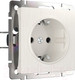 Миниатюра изображения товара Розетка Werkel W1171013 / a051184 (перламутровый рифленый)