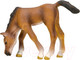 Миниатюра изображения товара Игровой набор Masai Mara На ферме / ММ205-023