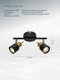 Миниатюра изображения товара Спот Arte Lamp Almach A1906PL-2BK