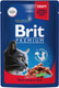Миниатюра изображения товара Влажный корм для кошек Brit Premium Beef Stew & Peas / 5048816 (85г)