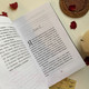 Миниатюра изображения товара Художественная книга Эксмо Видеоблог вампира (Максимов М.)