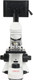 Миниатюра изображения товара Микроскоп цифровой Микромед Эврика 40х-1280х LCD / 28136