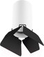 Миниатюра изображения товара Потолочный светильник Lightstar Rullo R436437