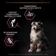 Миниатюра изображения товара Сухой корм для собак Pro Plan Puppy Medium Sensitive Skin с лососем (3кг)