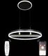 Миниатюра изображения товара Потолочный светильник Natali Kovaltseva High-Tech Led Lamps 82048 (черный)