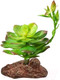 Миниатюра изображения товара Декорация для аквариума Laguna Эониум / 84044005