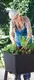 Миниатюра изображения товара Грядка на ножках Keter Easy Grow на ножках / 230298 (графит)