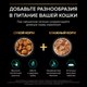 Миниатюра изображения товара Влажный корм для кошек Pro Plan Maintenance Sterilised с курицей в соусе (85г)