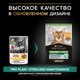 Миниатюра изображения товара Влажный корм для кошек Pro Plan Maintenance Sterilised с курицей в соусе (85г)