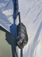 Миниатюра изображения товара Палатка AVI-Outdoor NordKapp Vuokka 2 / AV-5912