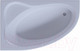 Миниатюра изображения товара Ванна акриловая Aquatek Фиджи 170x110 L / FID170-0000001