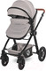 Миниатюра изображения товара Детская универсальная коляска Lorelli Alexa 3 в 1 Opaline Grey Elephants / 10021292185