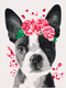 Миниатюра изображения товара Картина по номерам Юнландия Милая собачка с акриловыми красками / 662508