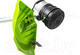 Миниатюра изображения товара Триммер аккумуляторный Greenworks GD60BCB (2108407UB)