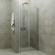 Миниатюра изображения товара Душевая дверь Triton Дабл 90x185 (прозрачное стекло)