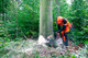 Миниатюра изображения товара Бензопила цепная Husqvarna 562XP 18" (970 50 20-18)