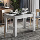 Миниатюра изображения товара Обеденный стол ТриЯ Промо тип 4 (белый/белый)
