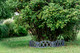 Миниатюра изображения товара Изгородь декоративная Gardenplast Modern (графит)