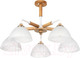 Миниатюра изображения товара Люстра Arte Lamp Matthew A5032PL-5BR