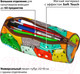 Миниатюра изображения товара Пенал Brauberg Cats / 229008