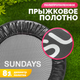 Миниатюра изображения товара Батут для джампинга Sundays D101 (черный, с ручкой)