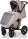 Миниатюра изображения товара Детская прогулочная коляска Babyhit Tribute Grey / BS102 (серый)