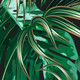 Миниатюра изображения товара Фотообои листовые Citydecor Тропики (400х260)
