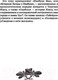 Миниатюра изображения товара Книга АСТ Бусидо. Кодекс самурая. Мудрость великих
