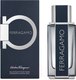 Миниатюра изображения товара Туалетная вода Salvatore Ferragamo Ferragamo Pour Homme (100мл)