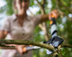 Миниатюра изображения товара Сучкорез механический Fiskars 1013564