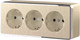 Миниатюра изображения товара Розетка Werkel Gallant W5073110 / a052594 (шампань рифленый)