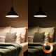 Миниатюра изображения товара Умная лампа Gauss Smart Home Filament А60 7W 806лм E27 DIM / 1200112 (управление голосом/смартфоном)