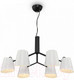 Миниатюра изображения товара Люстра Freya Nordic FR5127PL-06B