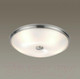 Миниатюра изображения товара Потолочный светильник Odeon Light Pellow 4957/5