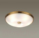 Миниатюра изображения товара Потолочный светильник Odeon Light Pellow 4956/5