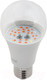 Миниатюра изображения товара Лампа для растений ЭРА FITO-10W-RB-E27 / Б0050600